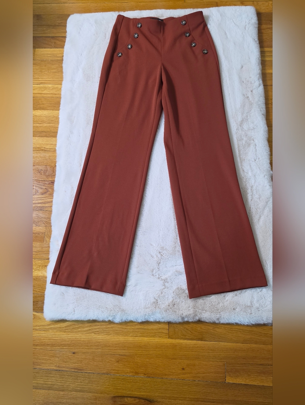 Express Wide-Leg Pants in Rust